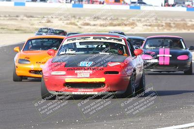 media/Jan-25-2025-CalClub SCCA (Sat) [[03c98a249e]]/Race 4/